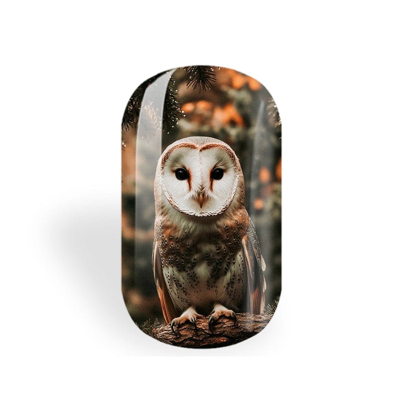 Whoooo’s Ready For Winter?