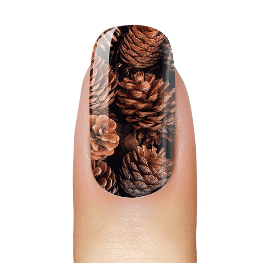 Autumnal Pine