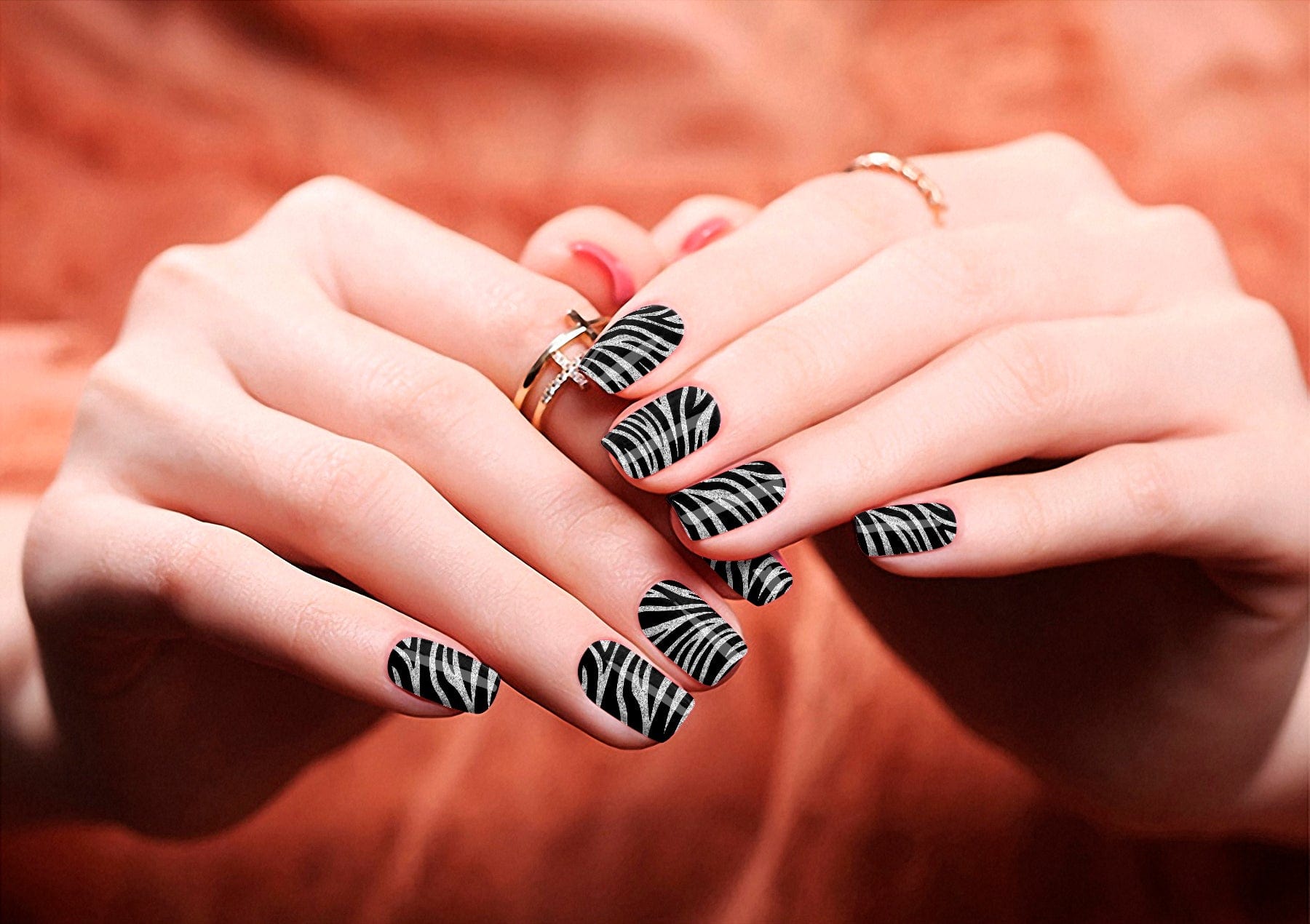 NEW: Fashionista Zebra