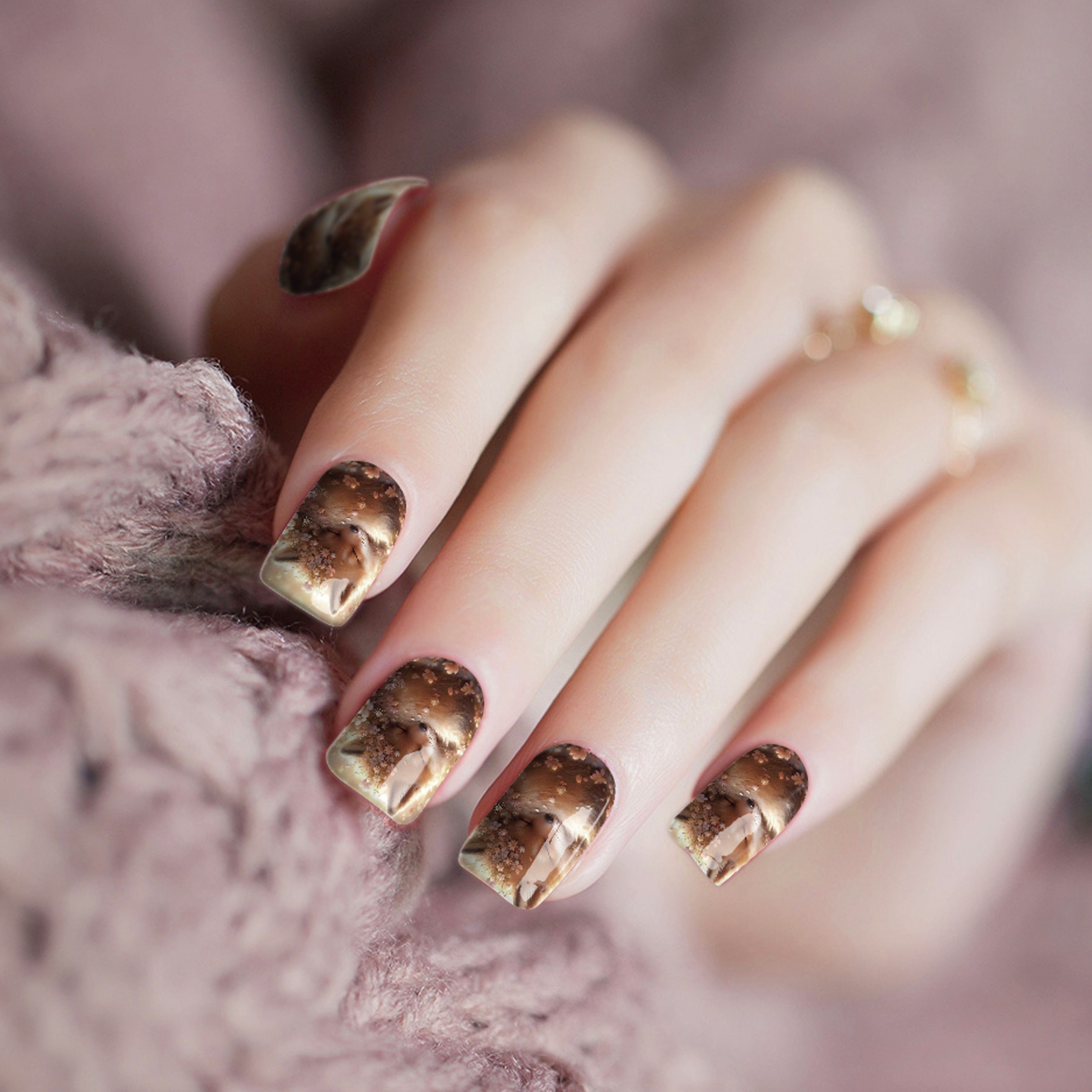 Evening Cozy