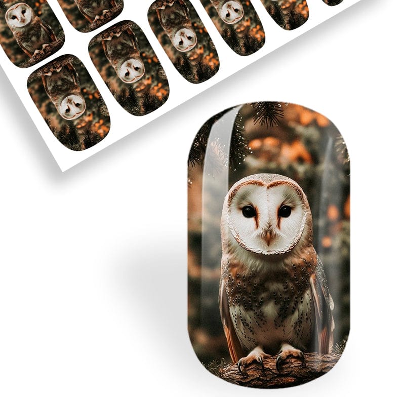 Whoooo’s Ready For Winter?