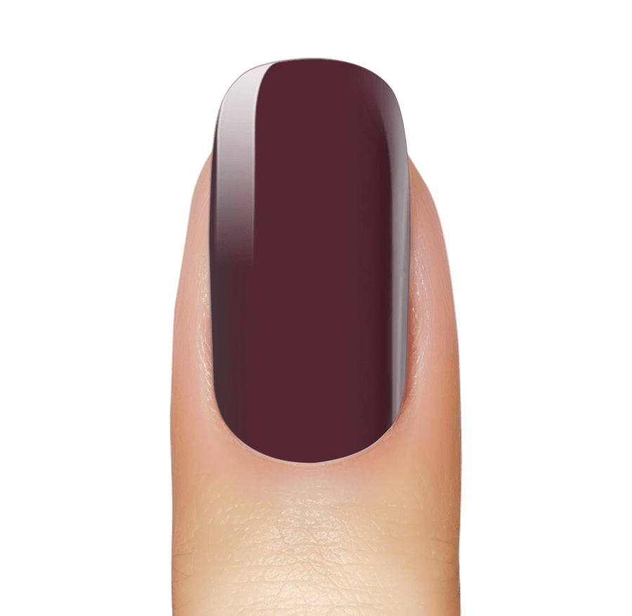 Burgundy Truffle