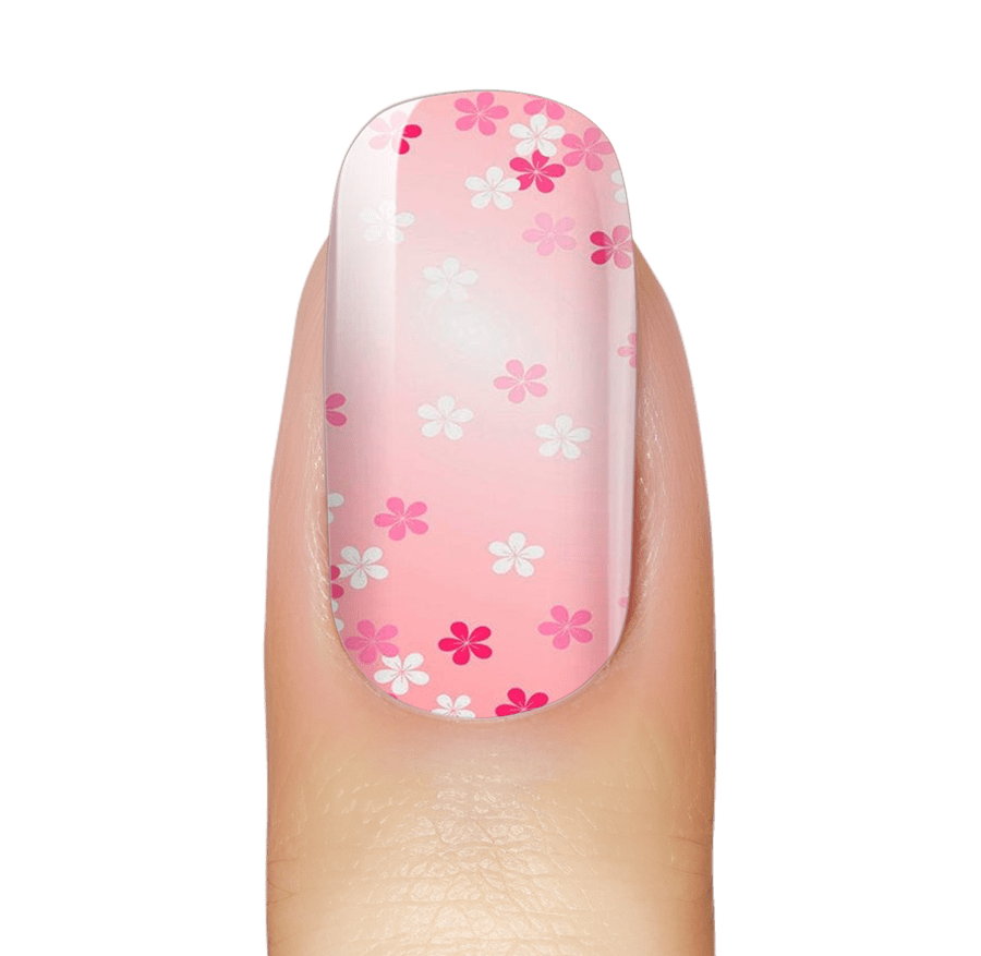 Dainty Ombré Blooms