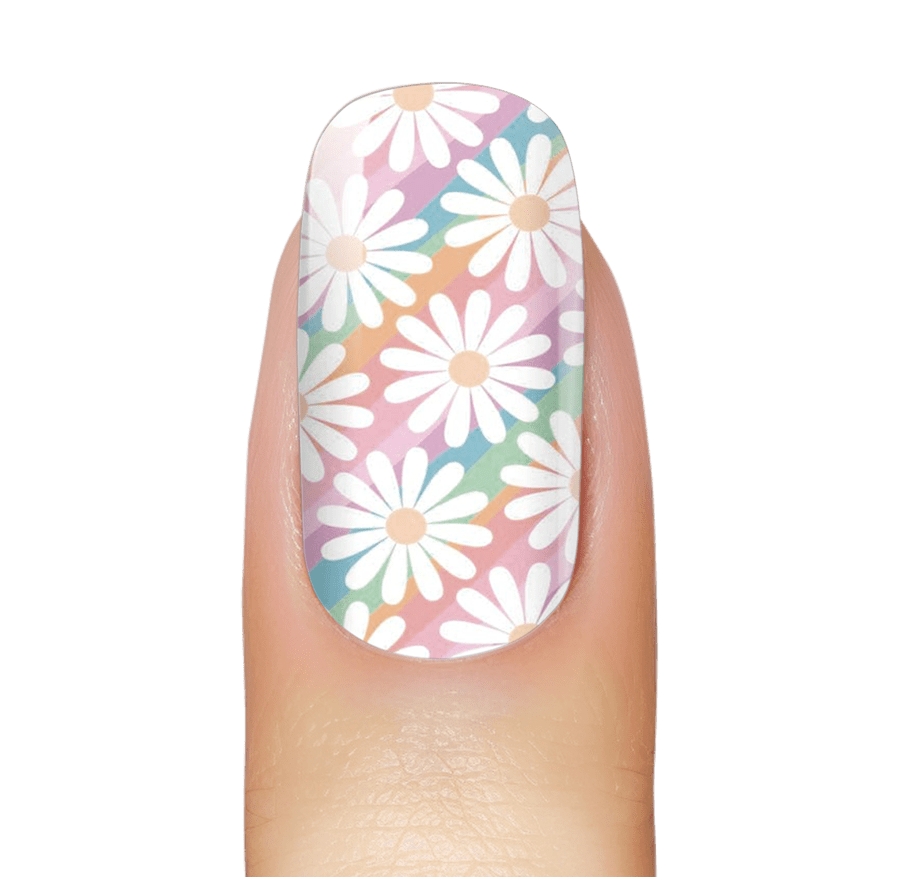 NEW: Daisies And Rainbows