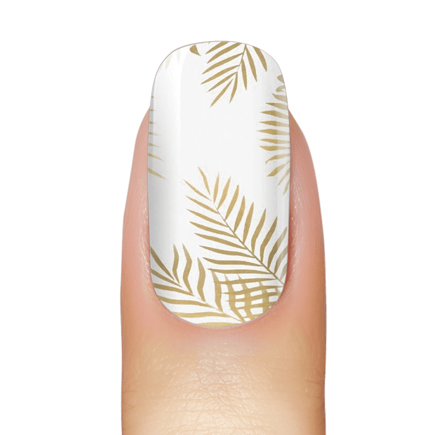 NEW: Keep Palm!