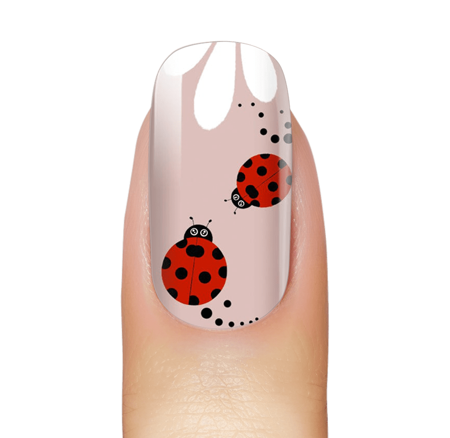 Ladybug Love