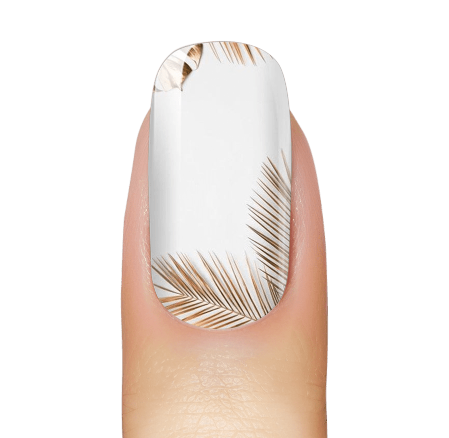 Palm Waves