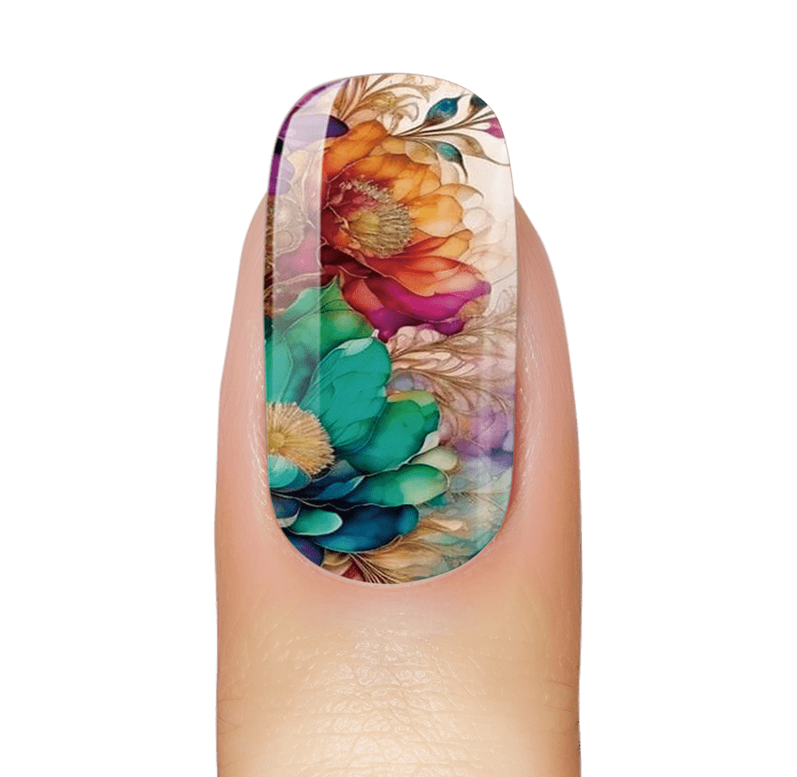 Rainbow Forest