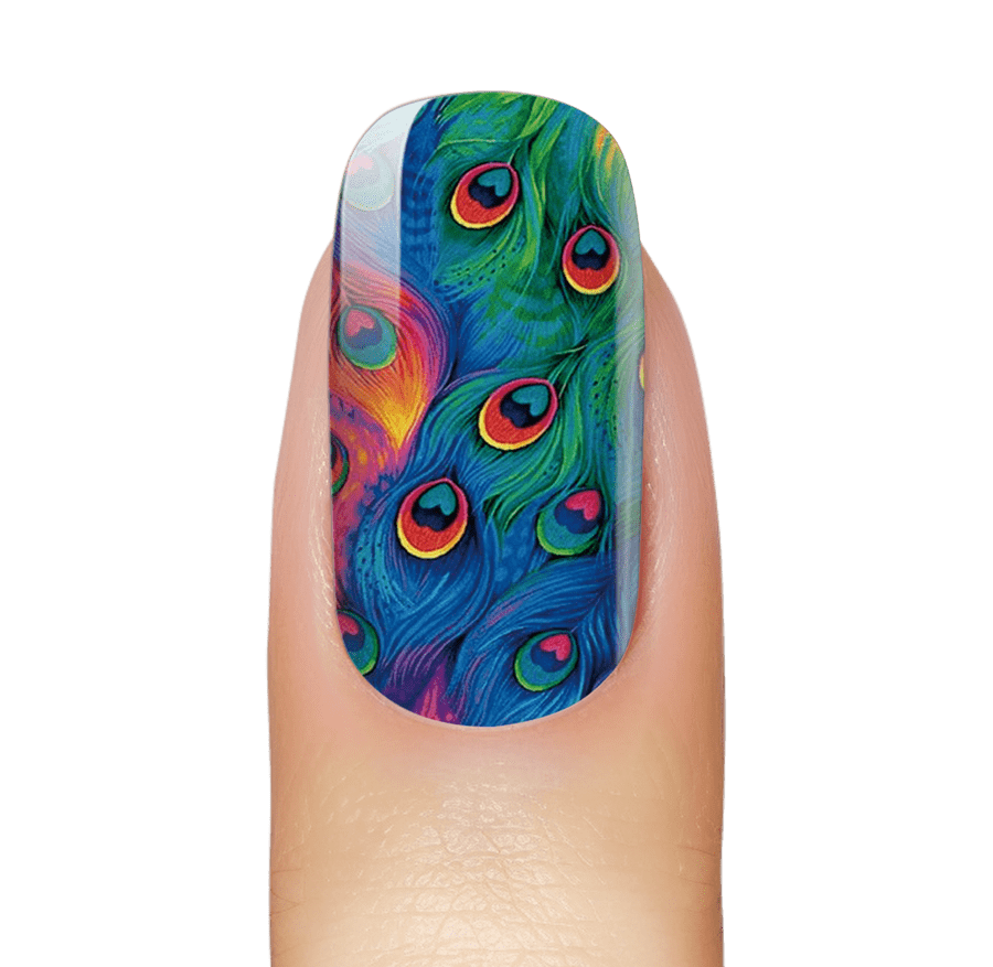 NEW: Rainbow Peacocks