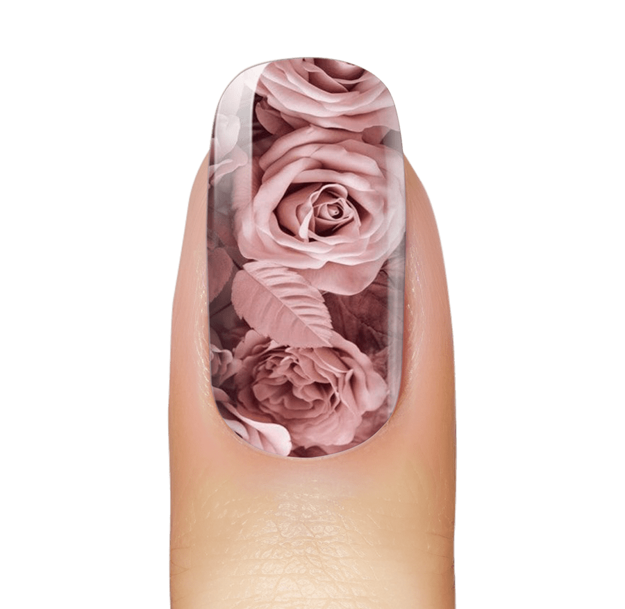 NEW: Rose Tinted