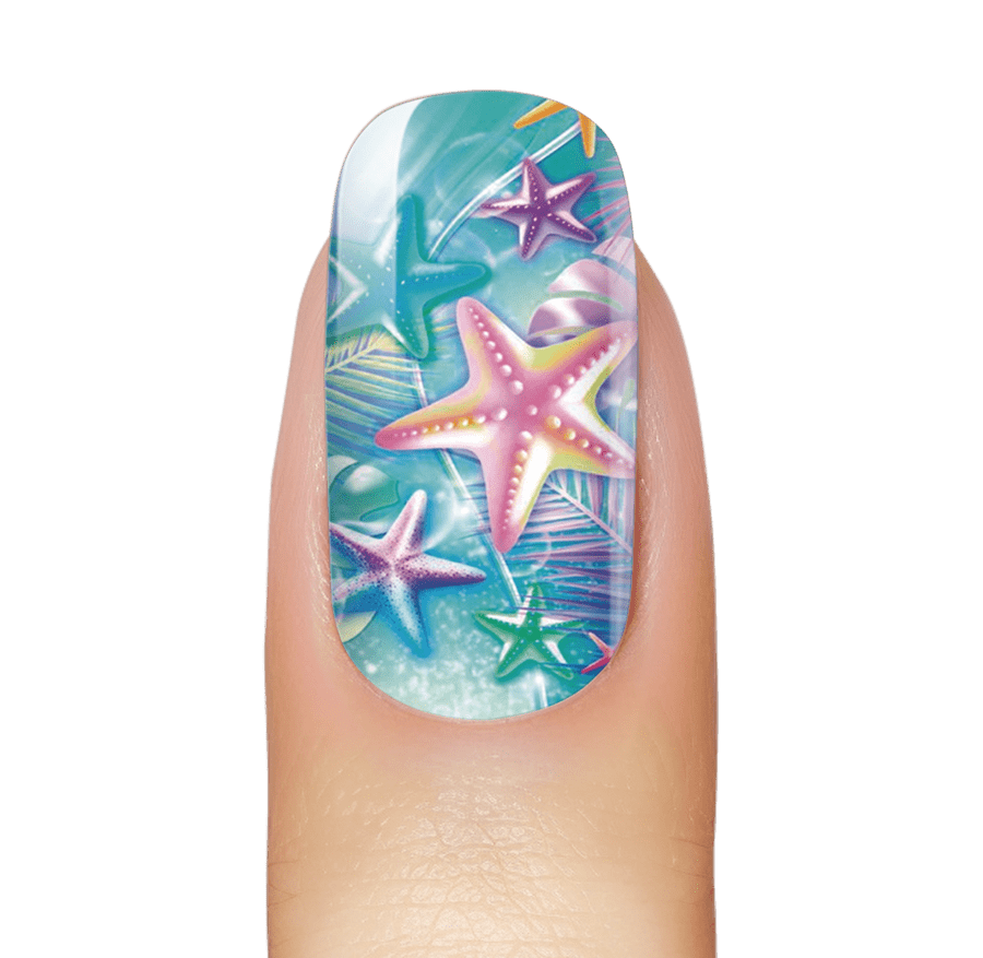 NEW: Stars And Palms