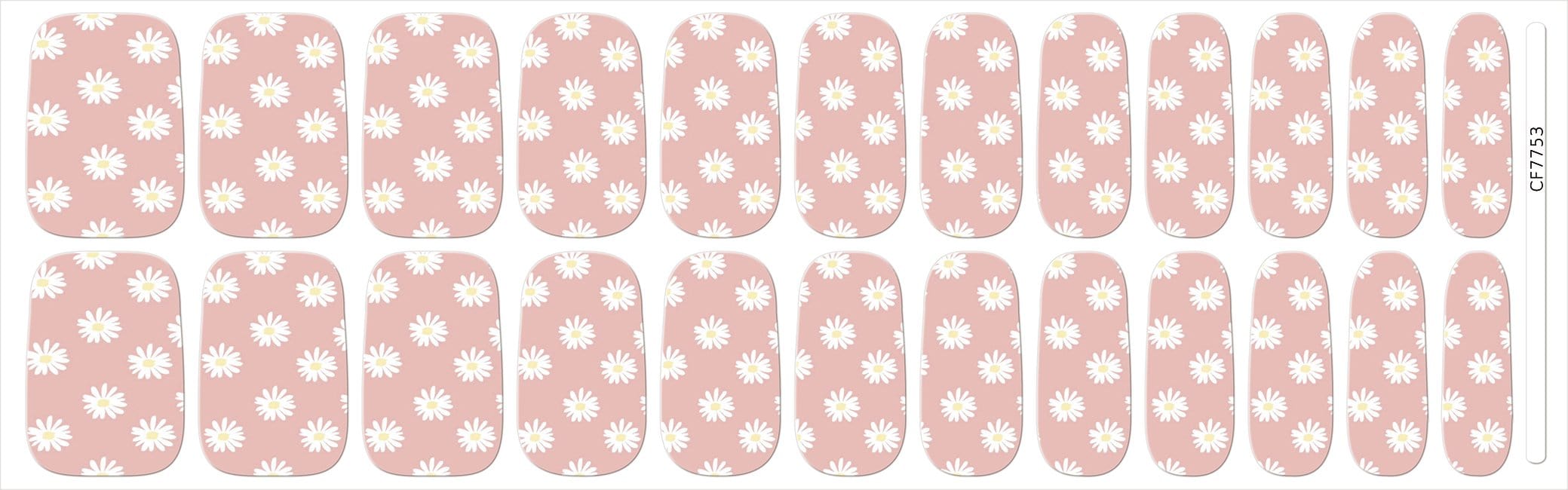 Pink Daisy Dreams