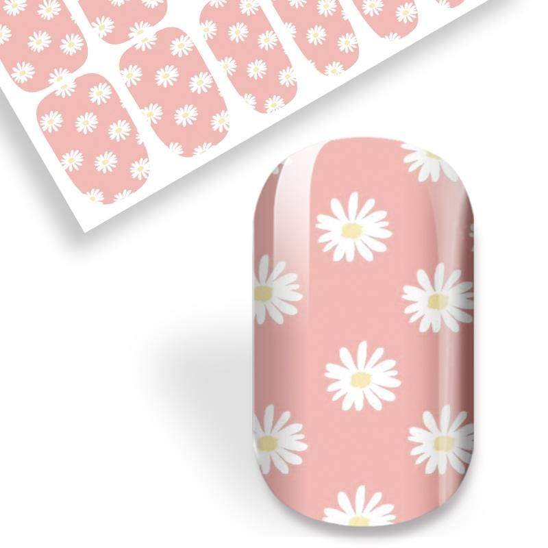 Pink Daisy Dreams