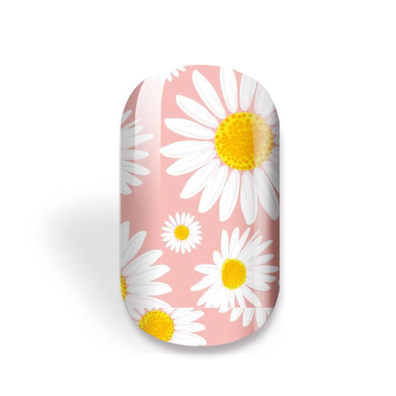 NEW: Falling Daisies