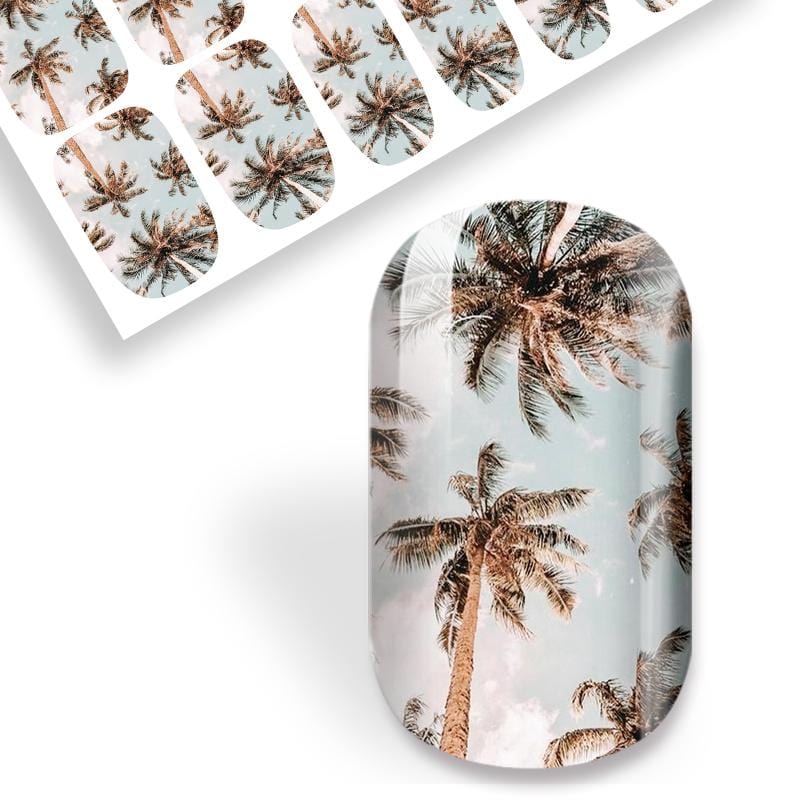 Sunnies And Palms