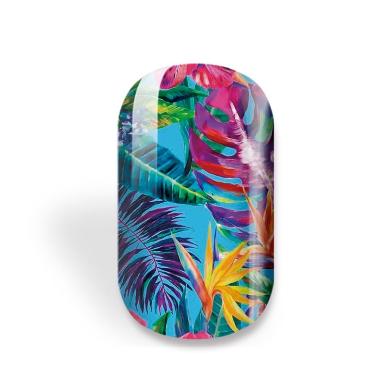 Tropical Bundle