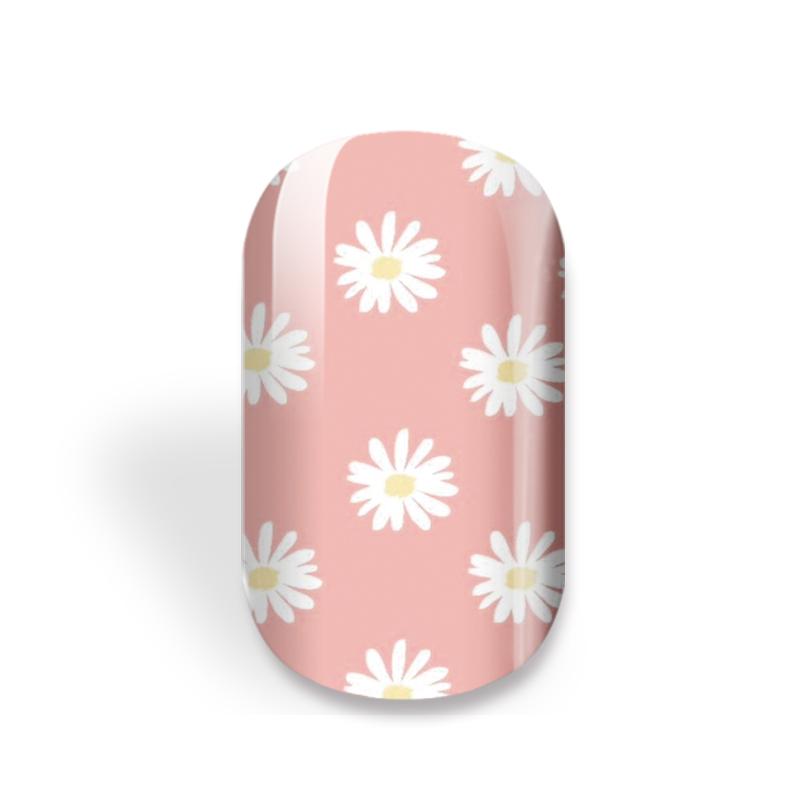 Pink Daisy Dreams