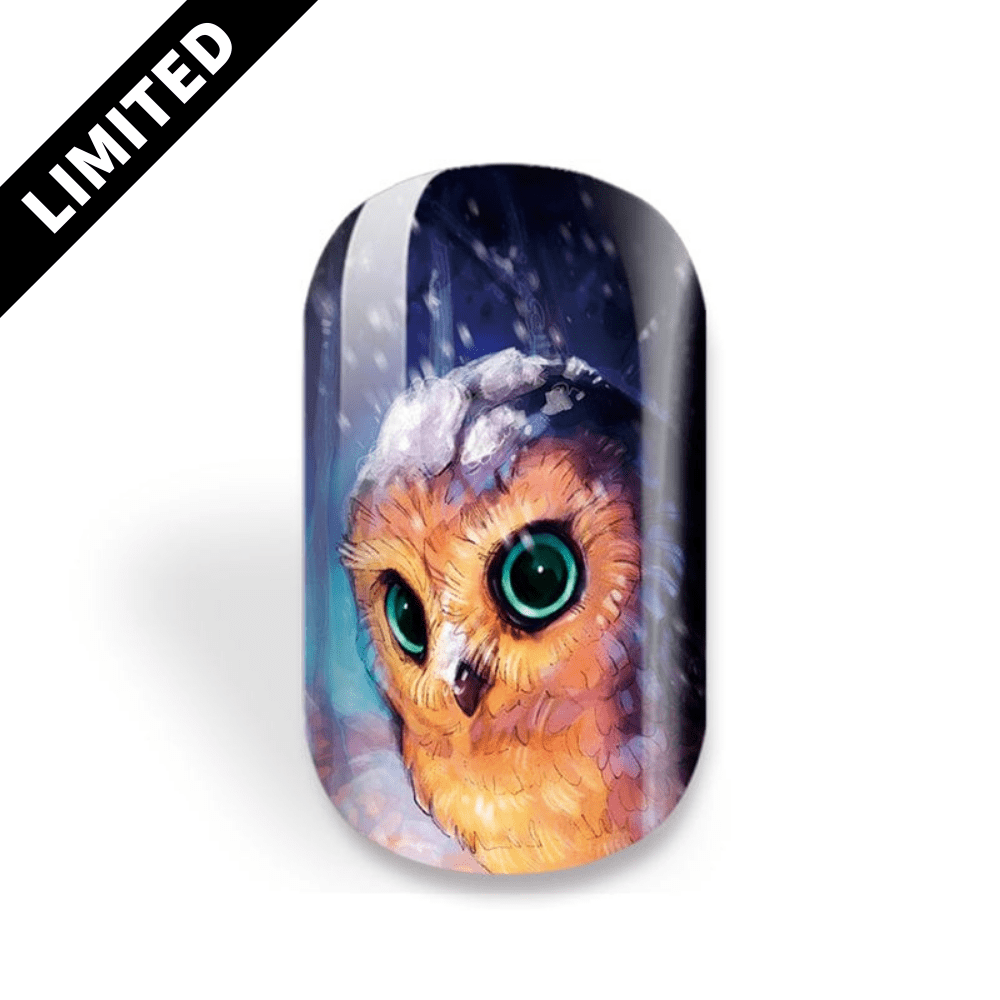 NEU: Whoooo’s Chilly?